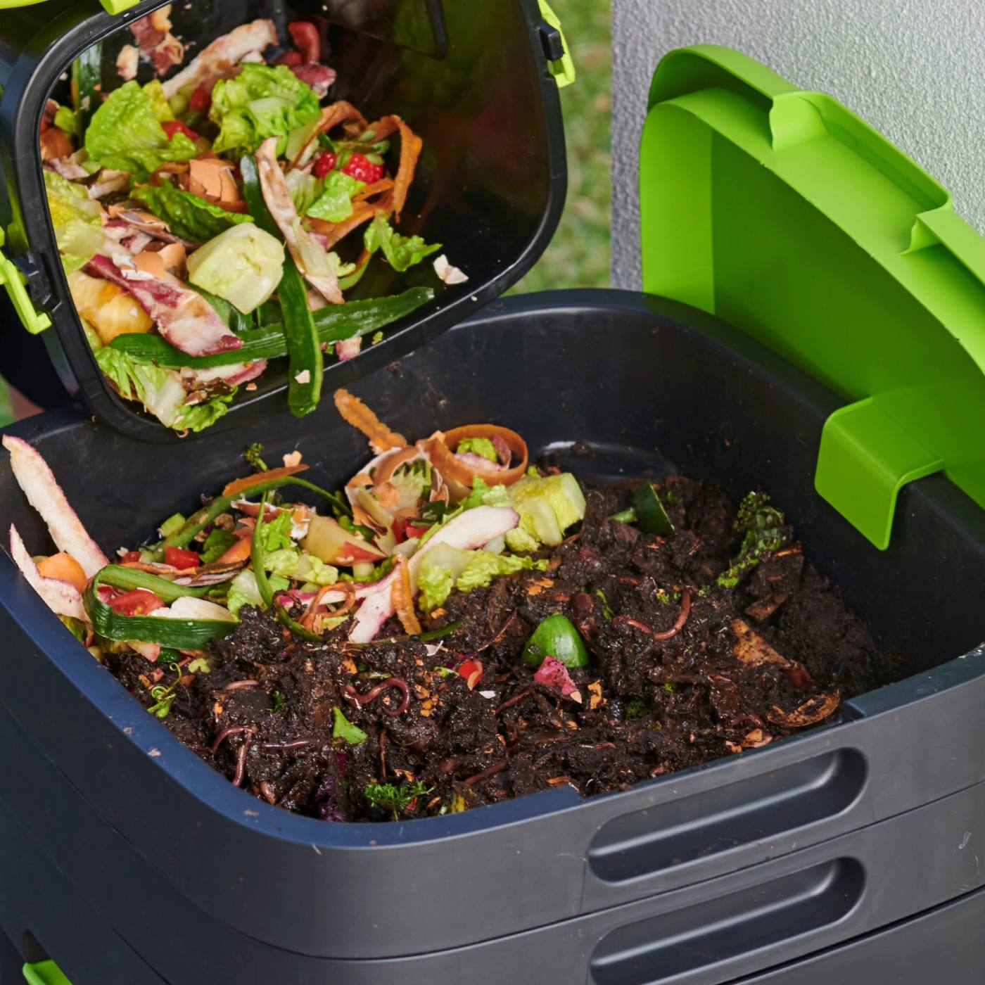 Worm-Farm-Image-1-scaled-1.jpg