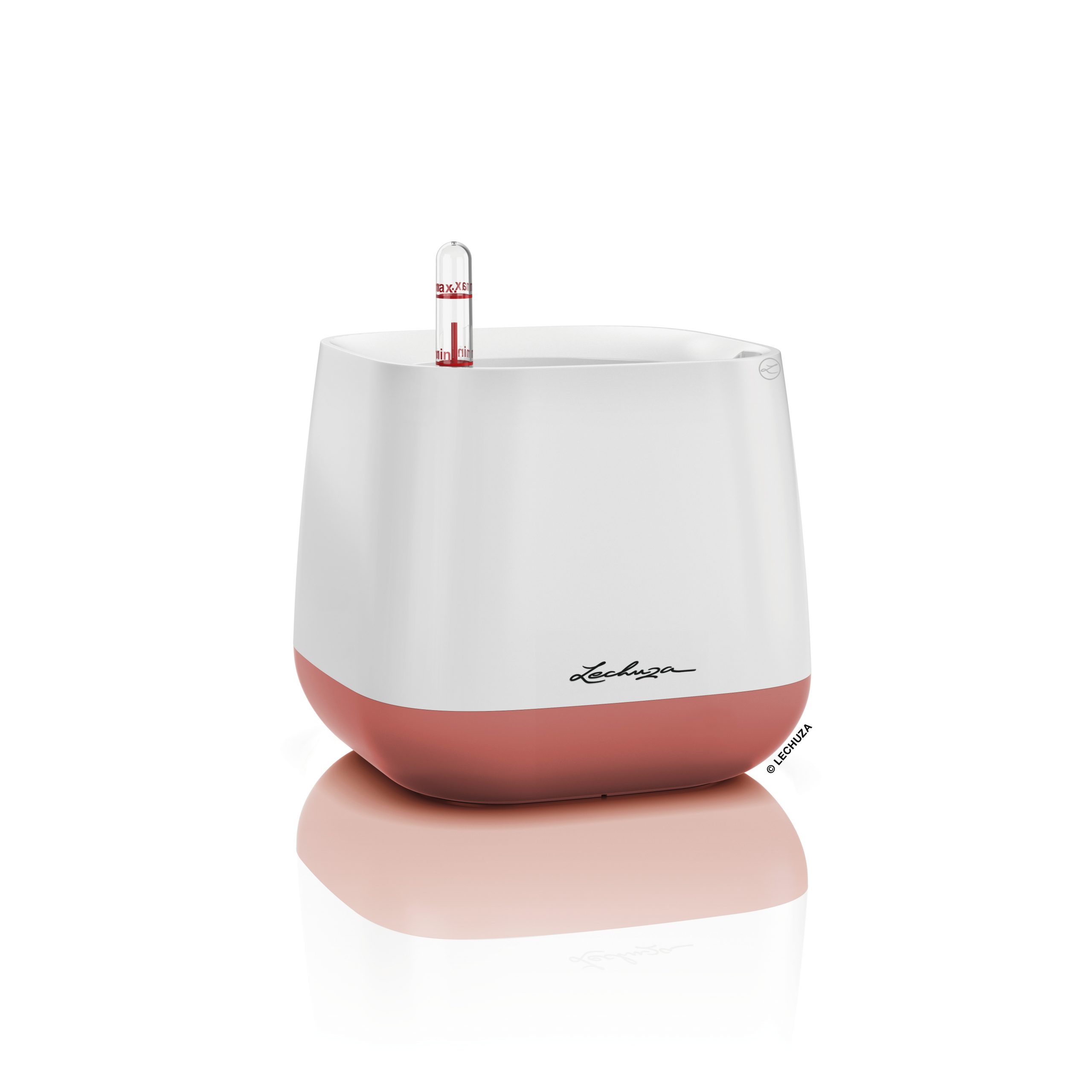 YULA Planter – White / Pearl Rose