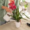 YULA-Watering-Can-Image3-scaled-1.jpg