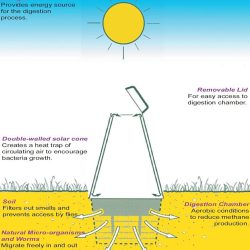 green-cone-illustration-w.jpg
