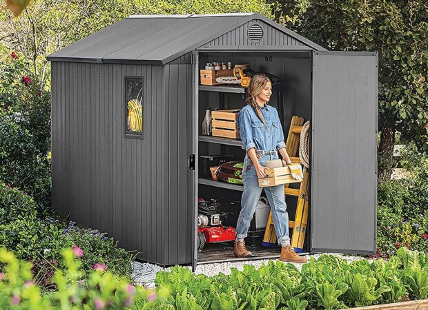 Keter-Darwin-6x8-------------shed