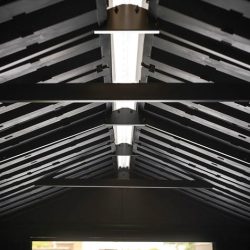 Media_1720351447338.jpg