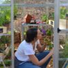 6' x 14' Hybrid Greenhouse - Silver Frame (1.9m x 4.3m)