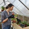 6' x 14' Hybrid Greenhouse - Silver Frame (1.9m x 4.3m)