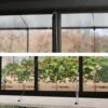 10' x 10' ARIA Greenhouse (3.2m x 3.1m)