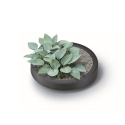 MAZE 240L Rainwater Tank x 2 Kit – Removable planter lid with plants