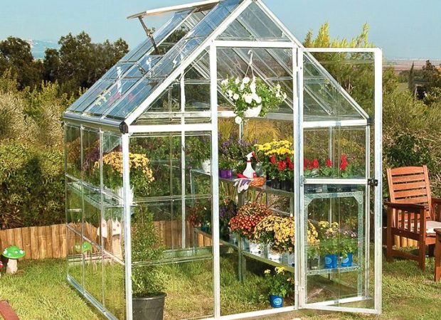 JULY'S SONG Upgraded 6'x6' Greenhouse,Polycarbonate Plant Greenhouse with Window for Winter,Heavy Duty Garden Green House Kit for Outdoor Use 