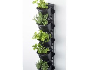 VERTICAL GARDEN KIT - SINGLE
