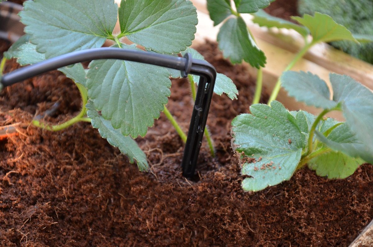 GREENHOUSE DRIP IRRIGATION KIT
