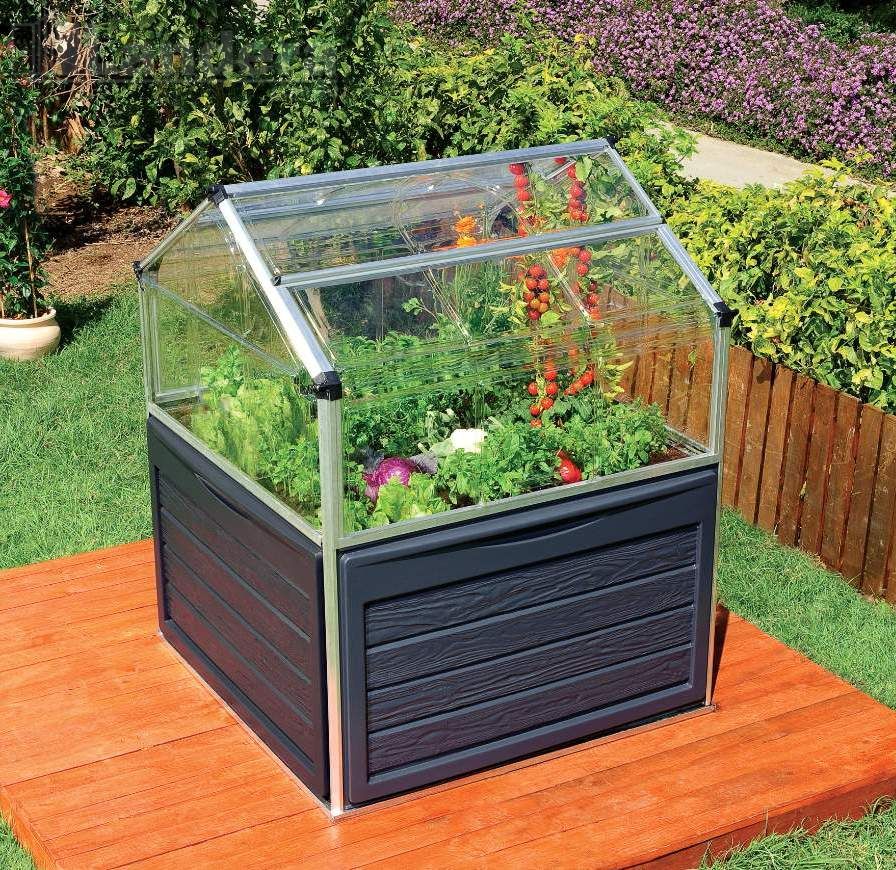 SILVER LINE PLANT INN MINI GREENHOUSE