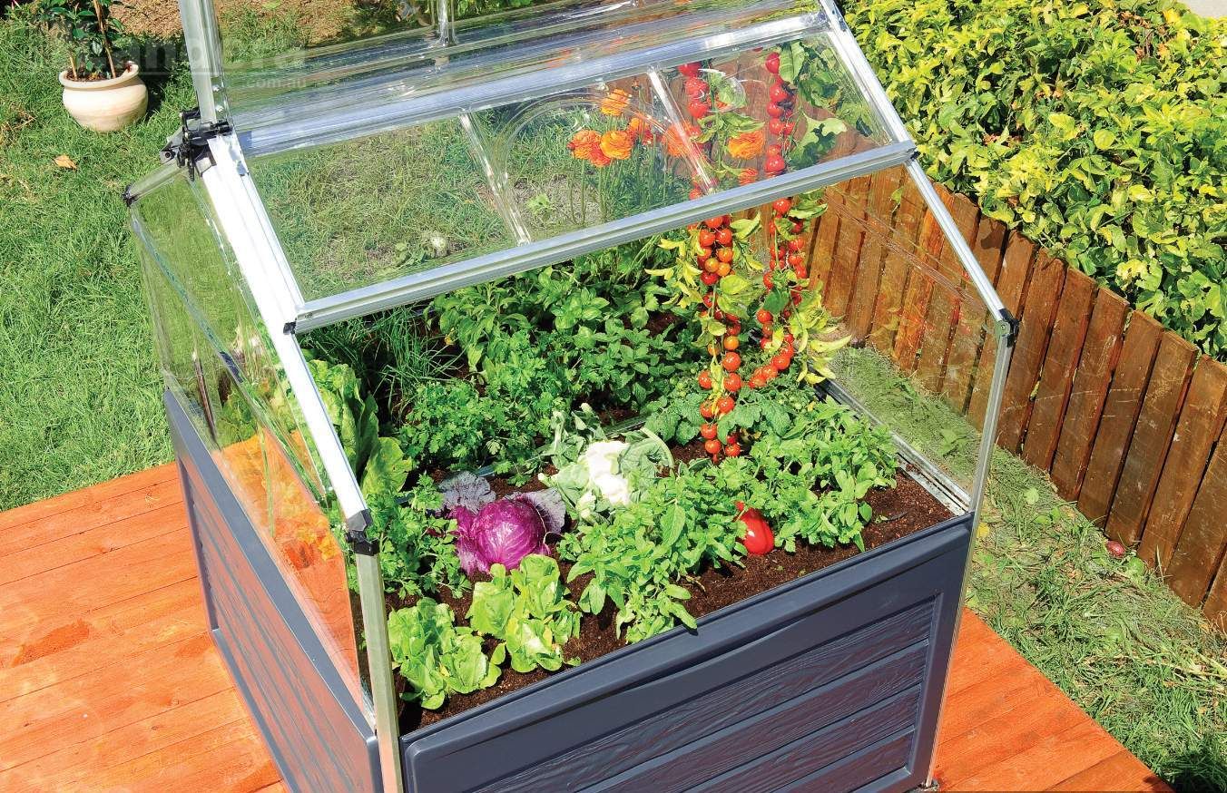 The PLANT INN Mini Greenhouse On SALE
